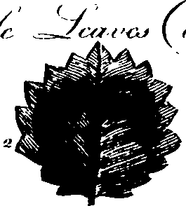 061/061920080104810_13.png