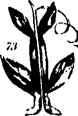 061/061920080104810_2.png