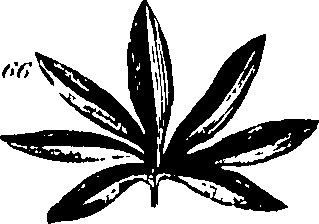 061/061920080104810_3.png