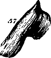 061/061920080104810_4.png
