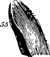 061/061920080104810_5.png