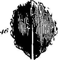 061/061920080104810_6.png