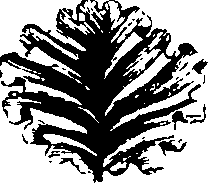 061/061920080104810_7.png