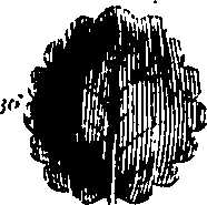 061/061920080104810_8.png