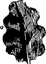 061/061920080104810_9.png