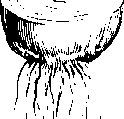 061/061920080104820_0.png