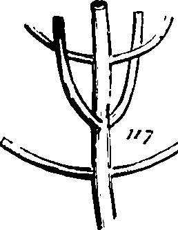 061/061920080104820_1.png