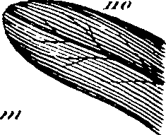 061/061920080104820_3.png