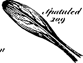 061/061920080104820_4.png