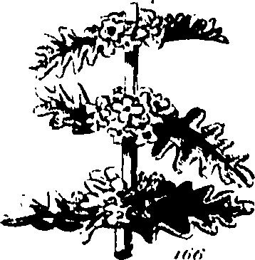 061/061920080104830_0.png