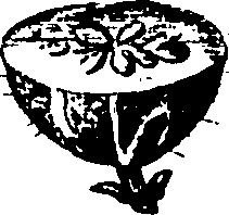 061/061920080104830_2.png
