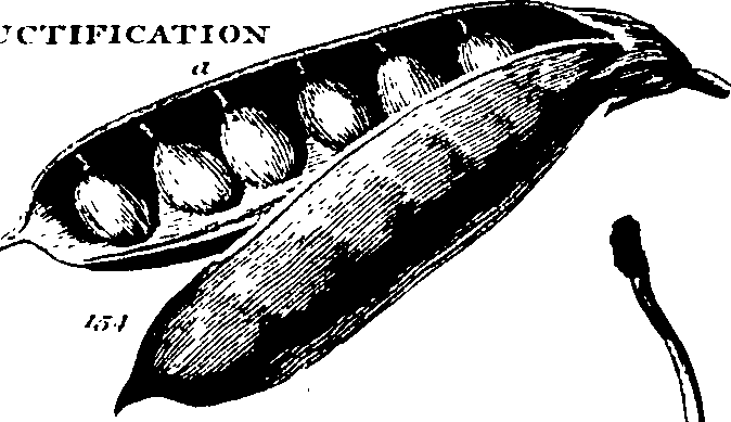 061/061920080104830_3.png