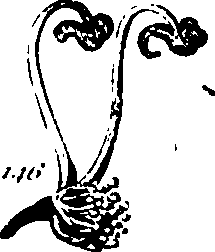 061/061920080104830_4.png