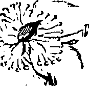 061/061920080104830_5.png