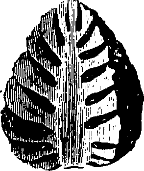061/061920080104830_6.png