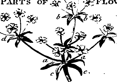061/061920080104830_8.png