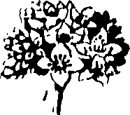 061/061920080104860_0.png