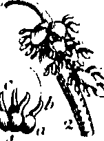 061/061920080104860_1.png