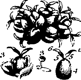 061/061920080104860_11.png