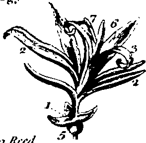 061/061920080104860_12.png