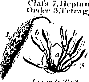 061/061920080104860_2.png