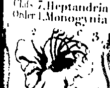 061/061920080104860_3.png