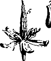 061/061920080104860_4.png