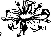 061/061920080104860_6.png