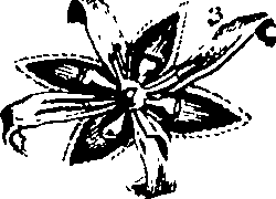 061/061920080104860_7.png