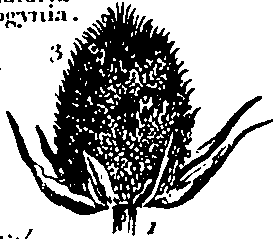 061/061920080104860_8.png