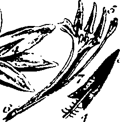 061/061920080104860_9.png