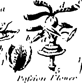 061/061920080104870_0.png