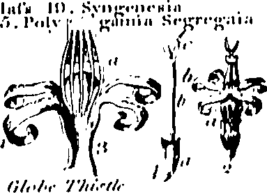 061/061920080104870_1.png