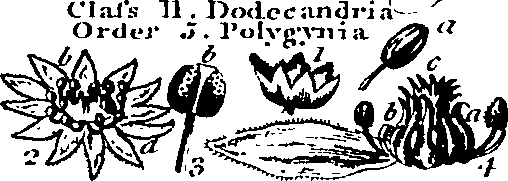 061/061920080104870_10.png