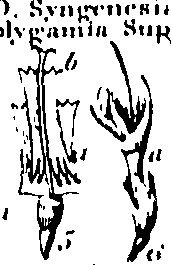061/061920080104870_3.png