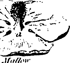 061/061920080104870_4.png