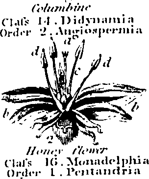 061/061920080104870_5.png