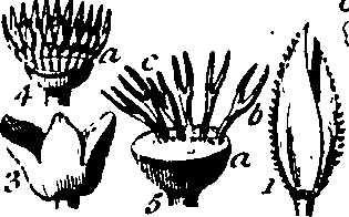 061/061920080104870_6.png