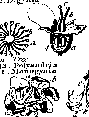 061/061920080104870_9.png