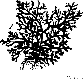061/061920080104920_0.png