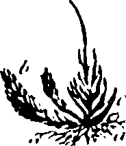061/061920080104920_1.png