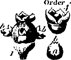 061/061920080104920_8.png