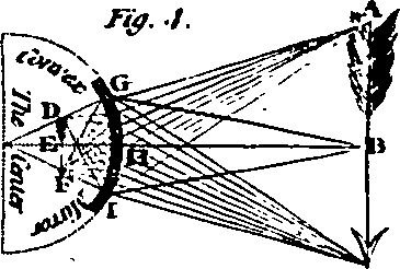 061/061920080105790_3.png