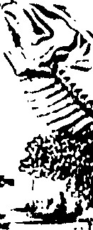 061/061920080106590_0.png