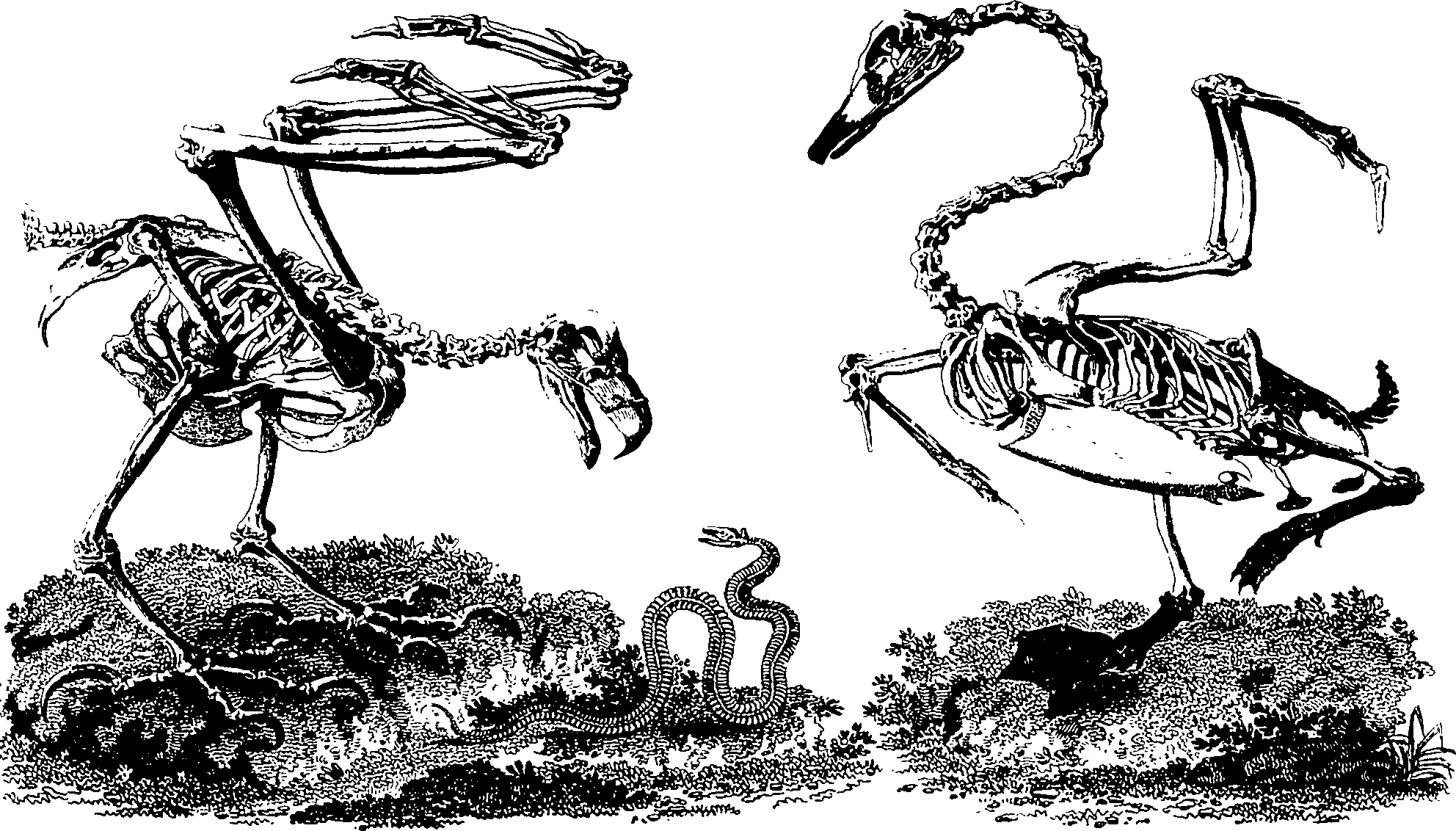 061/061920080106590_1.png