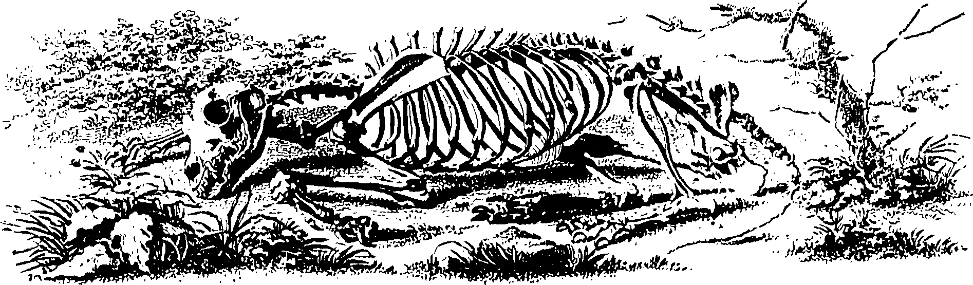 061/061920080106610_0.png