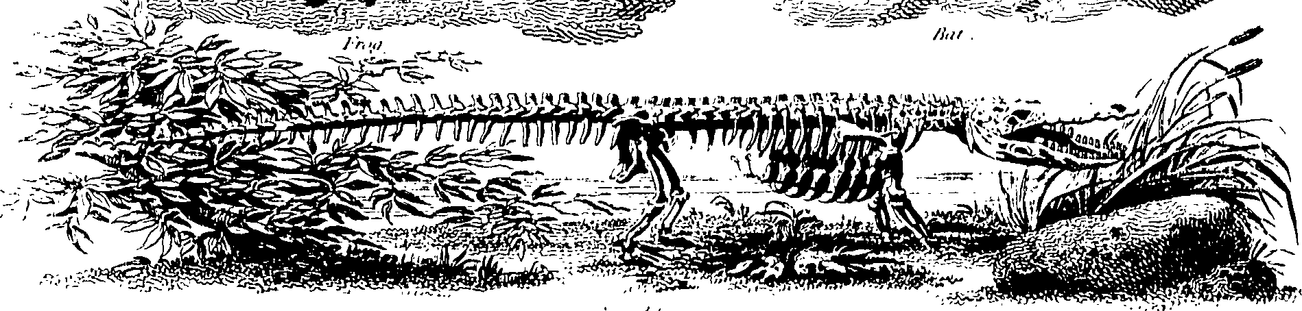061/061920080106610_1.png