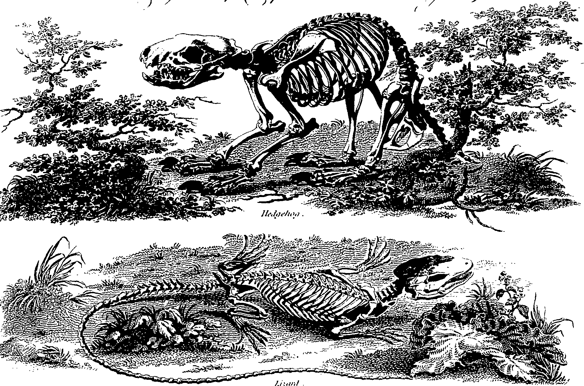 061/061920080106610_2.png