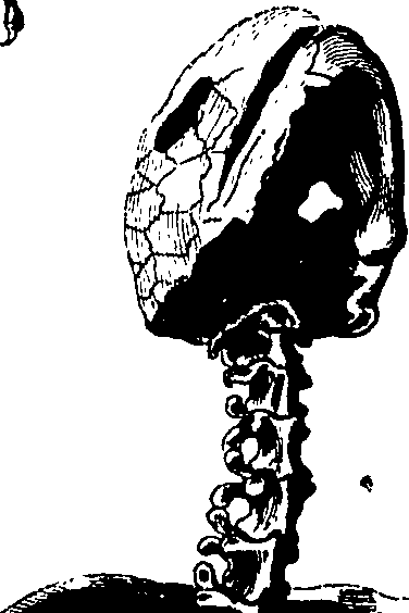 061/061920080106620_0.png