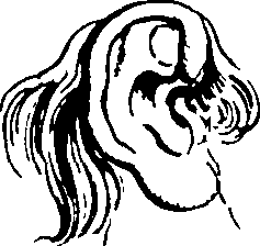061/061930010200630_7.png